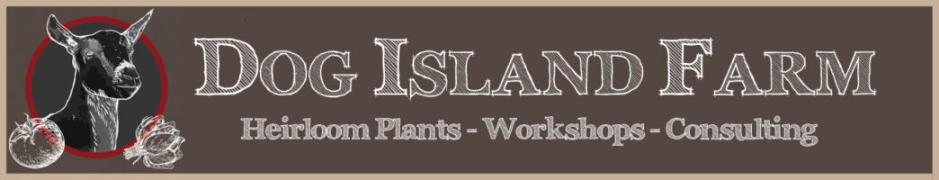 Dog Island Farm